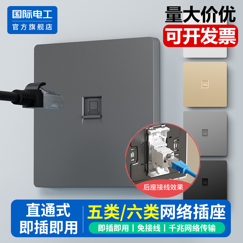 国际电工官方正品直通电脑插座