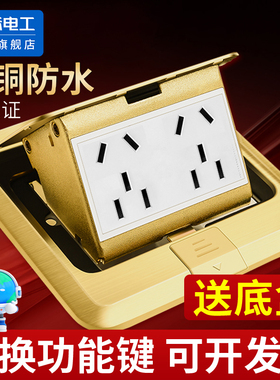 国际电工地插座隐形全铜防水隐藏式五孔网络地板地面地扦插座盖板