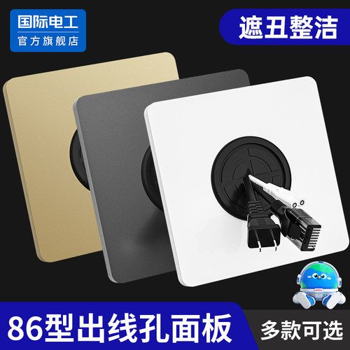 国际电工空白面板带出线孔穿孔板