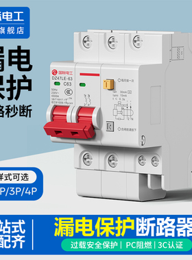 国际电工空气开关带漏电保护器2P63A家用漏保32a断路器空开220V