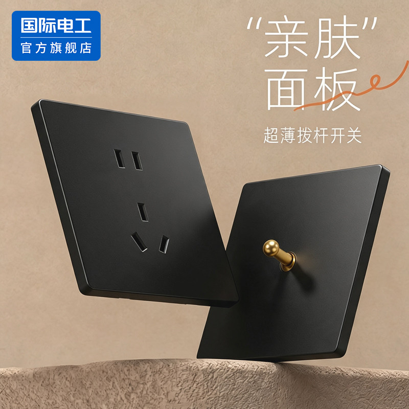 国际电工官方正品黑色拨杆开关