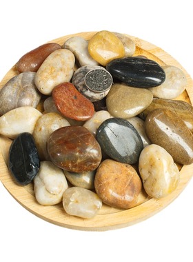 50斤白色抛光鹅卵石庭院花园铺路铺地大小石头户外阳台造景雨花石