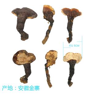 安徽大别山金寨 农户自采自挖 赤灵芝红林芝整枝产地直销零售