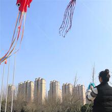 软体无骨章鱼大型风筝大人专用网红巨型软体风筝a 潍坊2023年新款