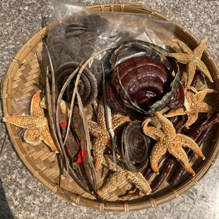 北海海宝泡酒料1000克滋补养生锁阳去湿海洋泡酒材料十全大补药酒