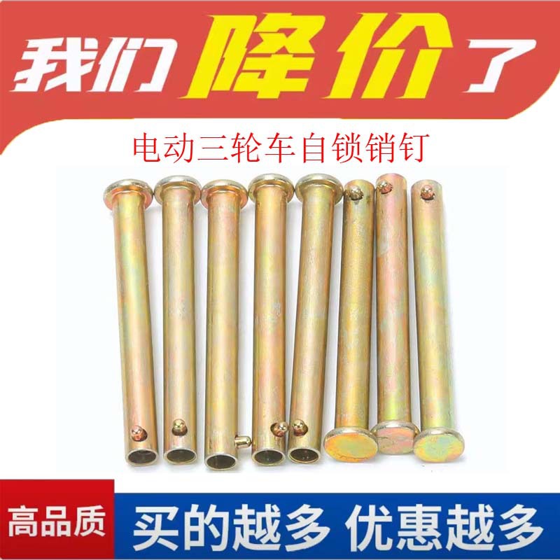 适配金鹏大安电动三轮车厢加厚合页销钉车斗门边销轴后门合页配件