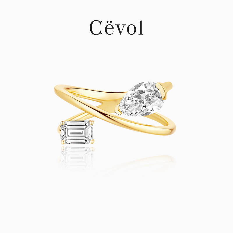 Cevol新奢钻石 双生系列金钻石戒指双钻石奢华钻戒礼物特色设计女
