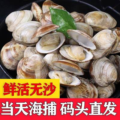 【坏了包赔超大美贝】新鲜花蛤鲜活水产鲜活无沙蛤蜊花甲海鲜水产