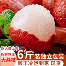 冰荔枝新鲜现摘速冻妃子笑冰冻鲜荔枝当季 新鲜水果冷冻鲜果荔枝