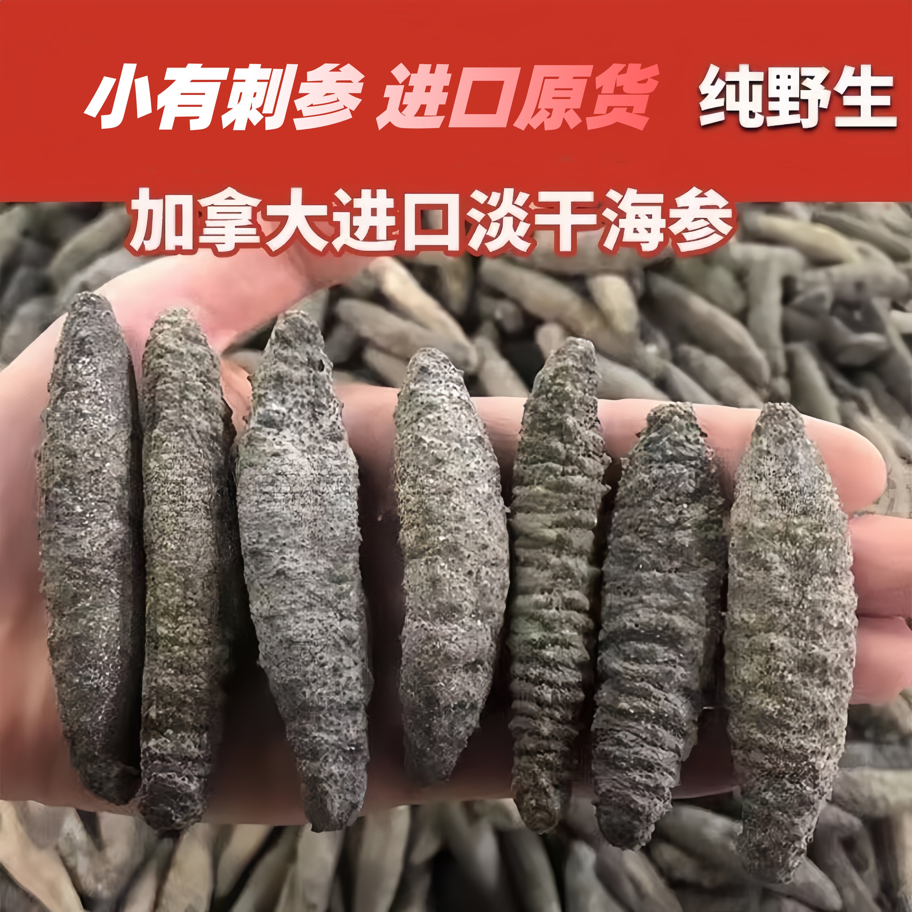 加拿大北极参进口野生淡干海参干货大西洋北极灰参非辽参即食海参
