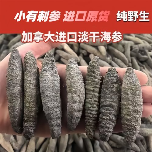 加拿大北极参进口野生淡干海参干货大西洋北极灰参非辽参即食海参