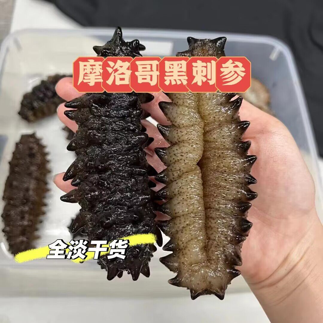摩洛哥黑刺参进口野生非洲刺参干货天然黑参淡干海参厚肉泡发率高