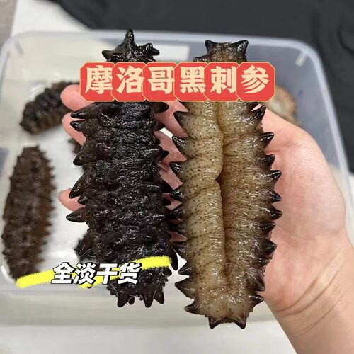 摩洛哥黑刺参进口野生非洲刺参干货天然黑参淡干海参厚肉泡发率高