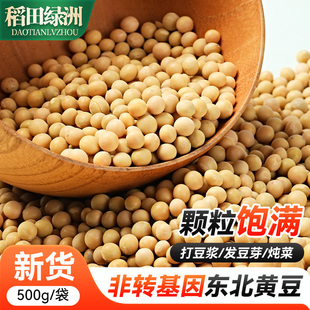 稻田绿洲东北非转基因新黄豆农家自种高蛋白豆腐大豆专用豆浆豆芽