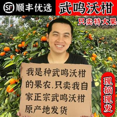 正宗广西武鸣沃柑10斤新鲜现摘水果应季一级柑橘桔子产地直发顺丰