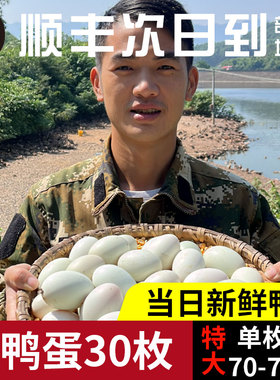 特大【散养土鸭蛋】新鲜生鸭蛋整箱水库放养鸭子蛋正宗麻鸭蛋广西