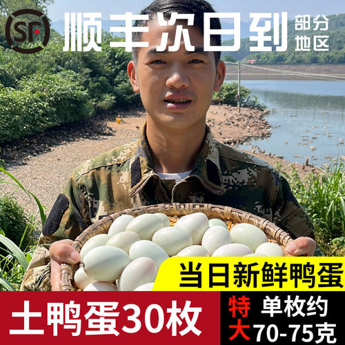 农家散养土鸭蛋当天现捡现发顺丰