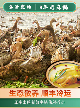 鸭子整只新鲜正宗现杀母鸭兵哥农家散养放养麻鸭水鸭土鸭子肉整只