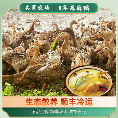 鸭子整只新鲜正宗现杀母鸭兵哥农家散养放养麻鸭水鸭土鸭子肉整只
