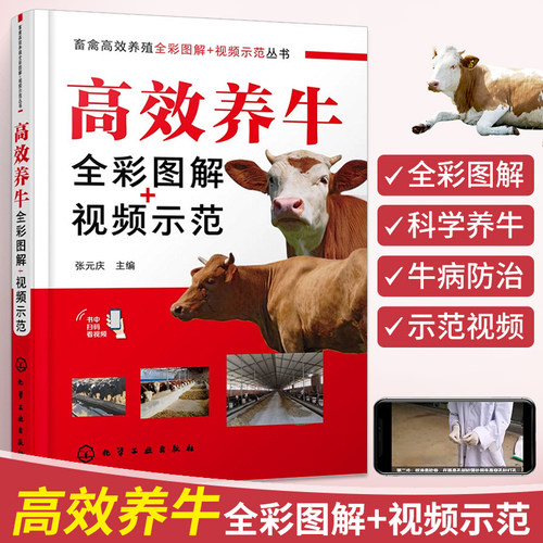 高效养牛全彩图解视频示范养牛技术书籍大全牛病类症鉴别与诊治书疾病防控知识肉牛养殖西门塔尔诊疗处方手册牛羊母牛饲料配方专业