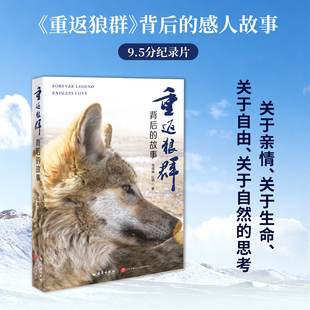 重返狼群背后的故事 正版 李微漪 红娟著 海南出版社 一部人狼情未了的旷世传奇 探寻人与自然和谐之道 中学生小学生课外阅读书籍