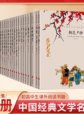 中国文学大师经典文库22册