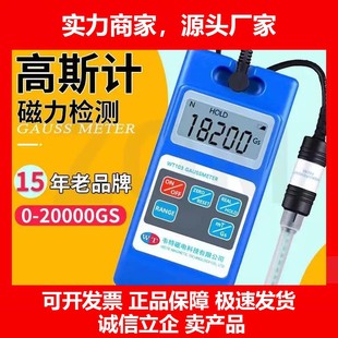 德国十大品牌WT103高斯计磁场测试仪磁场强度检测仪数字特斯拉计