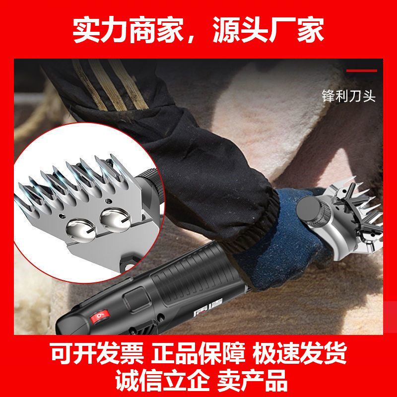 德国十大品牌电动羊毛剪子剃羊毛剪刀片剪羊毛的电推子剪毛机器大