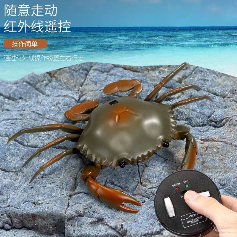 十大品牌螃蟹电动物大o闸蟹模型送男孩的礼物新奇玩具儿童整蛊仿