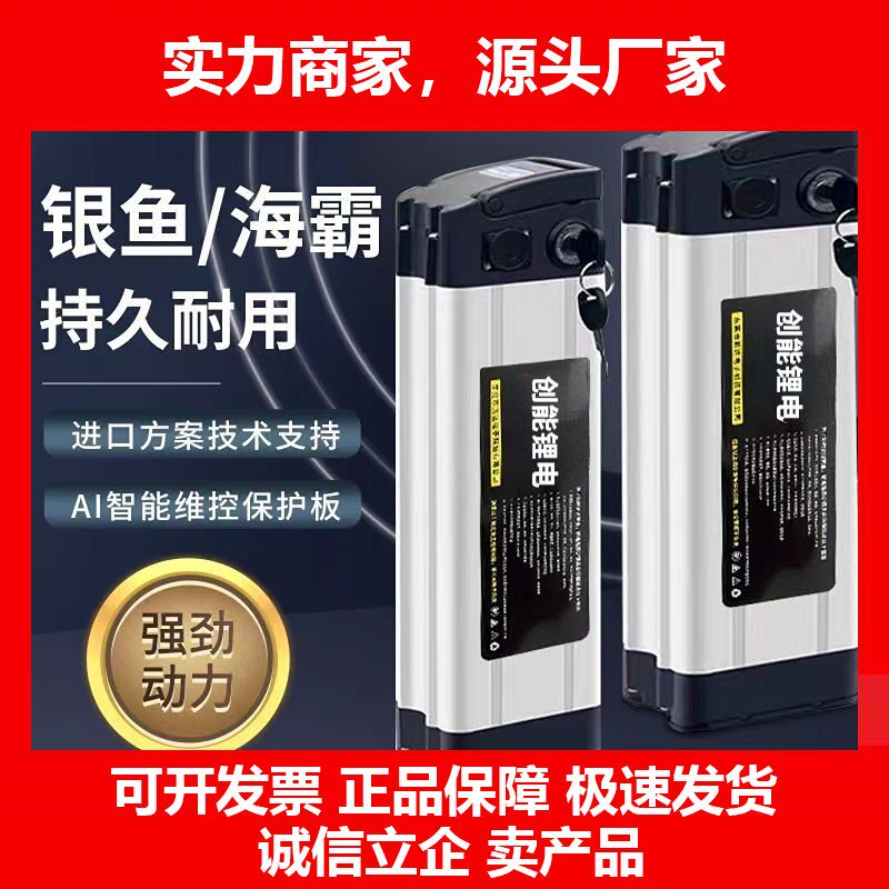 电动车锂电池48v20ah代驾折叠自行车银鱼海霸助力车送充十大品牌