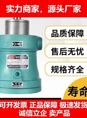 德国十大品牌2.5MCY10MYC25MCY40MCY63MCY160MCY14-1B定量泵、轴
