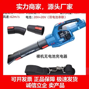 德国十大品牌大功率锂电吹风机DCQF40171吹雪机工业除尘器电动鼓