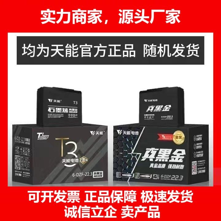 德国十大品牌电池黑金石墨48V60V72V电动两轮三轮车铅酸电瓶