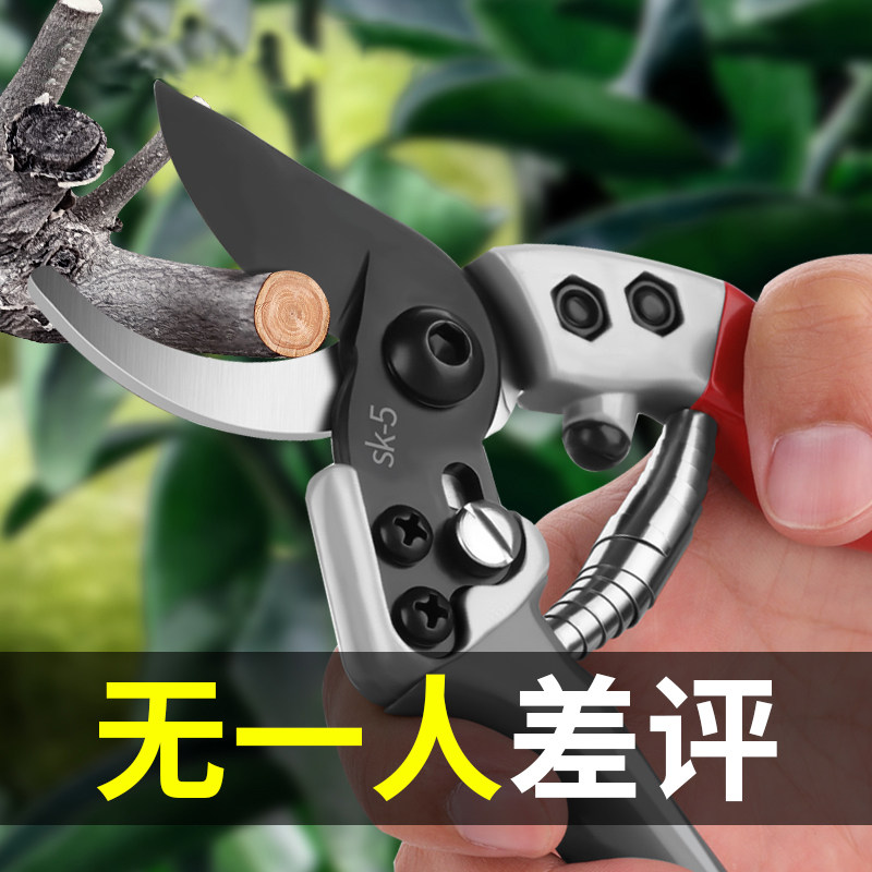 德国品质装d进口果树园艺修枝剪剪树枝专用剪刀花剪花艺枝条剪刀