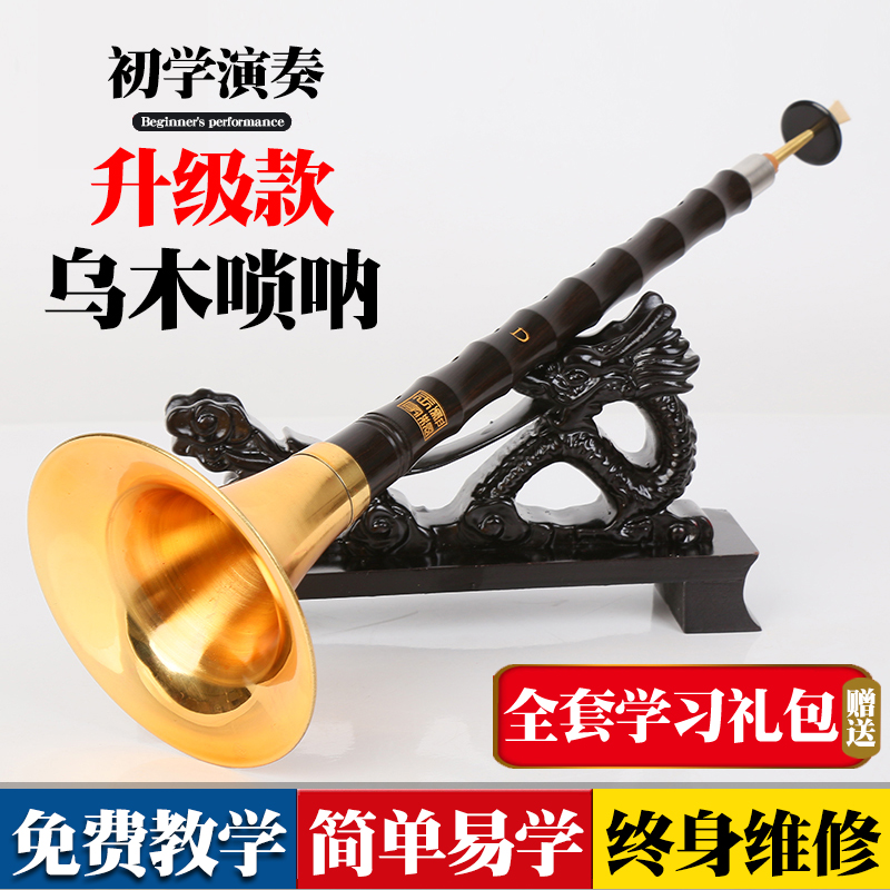 嗩吶民間樂器初學入門D調專業