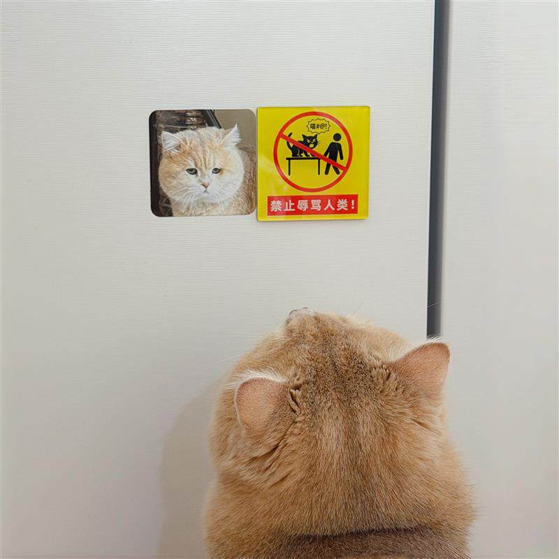 【禁止辱骂人类】猫咪冰箱贴可定制亚克力磁贴2026新款可爱