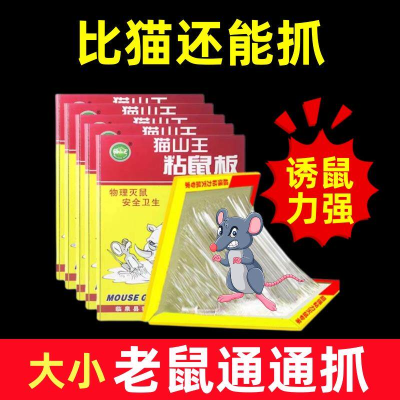 큰 마우스 스티커 강한 끈적 마우스 보드 쥐 스티커 강한 끈적 마우스 보드  가정용 강한 접착제 큰 마우스 둥지