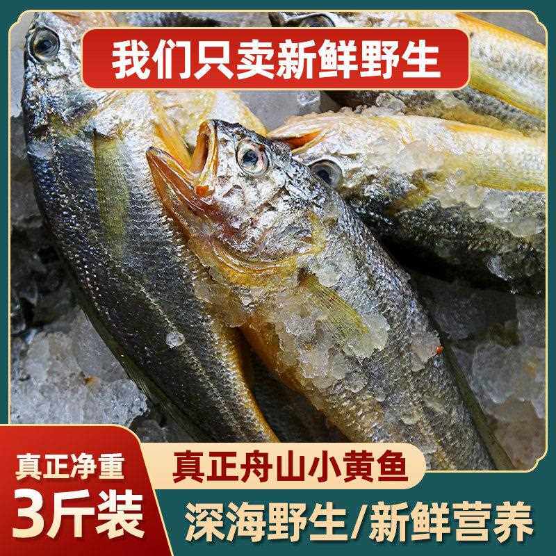 真正舟山小黄鱼 深海捕捞海鱼小黄花鱼 生鲜海鲜水产新鲜冷冻烧烤