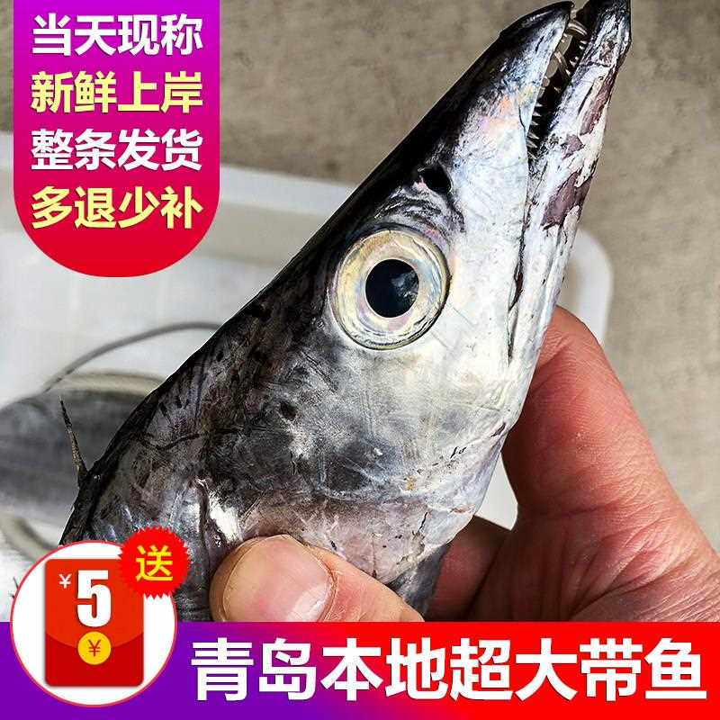 渤海湾小眼油带鱼超大新鲜海鲜水产鲜活冷冻刀鱼段野生海钓深海鱼