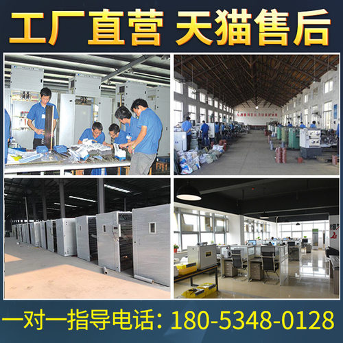 工厂直营大型商用全自动孵化器鸡鸭鹅孵化机小型家用孵化箱