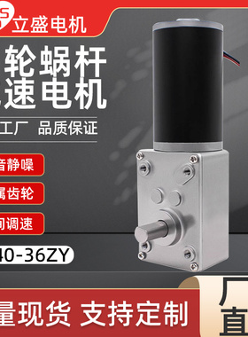 5840-36ZY直流减速电机微型自锁涡轮蜗杆调速低速马达12V24V