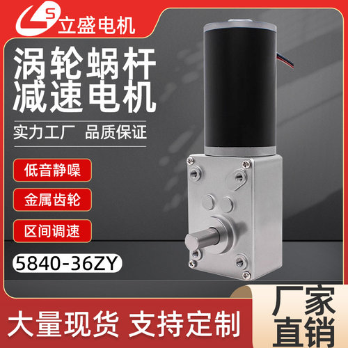5840-36ZY31ZY升级款马达电机