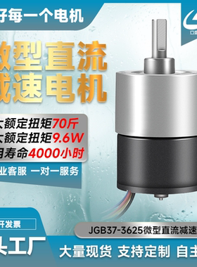 GB37-3625无刷直流减速电机 大扭力12V24V微型调速低速电动小马达