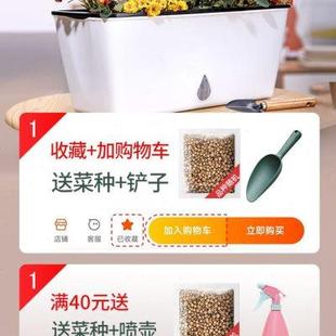 阳台种菜盆种菜专用箱家用懒人自吸水塑料花盆长方形花架种菜花盆