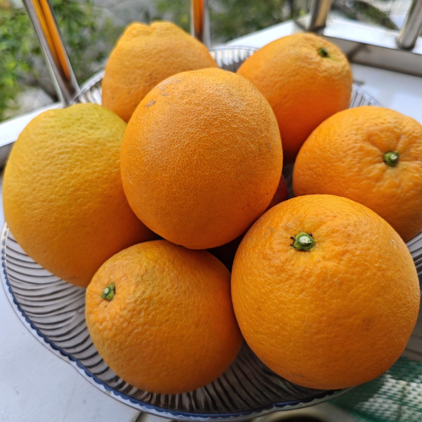 福建平和木瓜蜜丁橙比普通橙子甜度高，水分足，橙子界的新贵