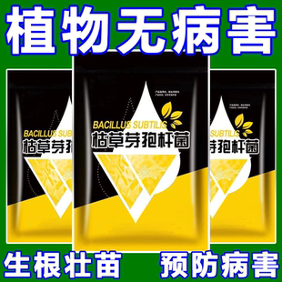 枯草芽孢杆菌枯萎病根腐病白粉病青枯病青枯灰霉病锈病专用肥正品
