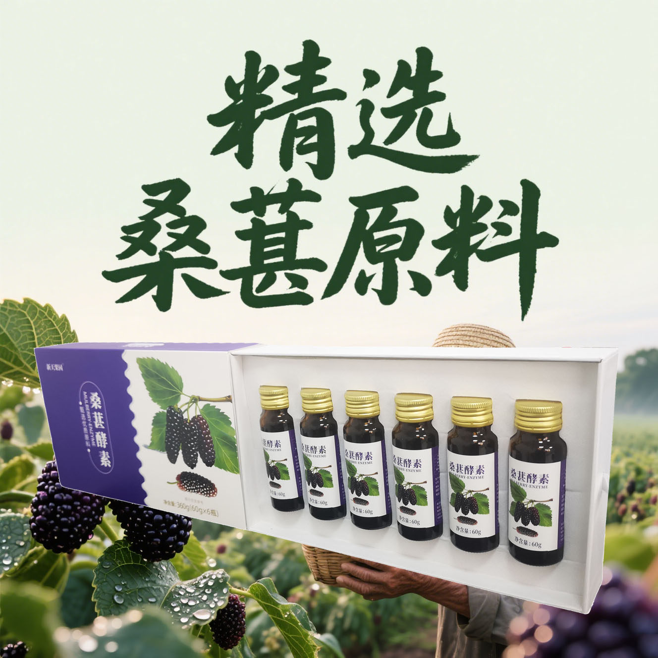 五年发酵桑葚原浆正宗中华麒麟桑葚酵素液正品浓缩桑葚发酵原液