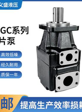 高压叶片泵T6GC-B03/06/08/12/17/22/28/31-6R00-A501液压机油泵