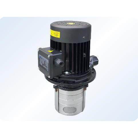 Luikar睿嘉Rocoi洛凯水泵立式侵入式LDPB2V-60-TP 机床用水泵油泵