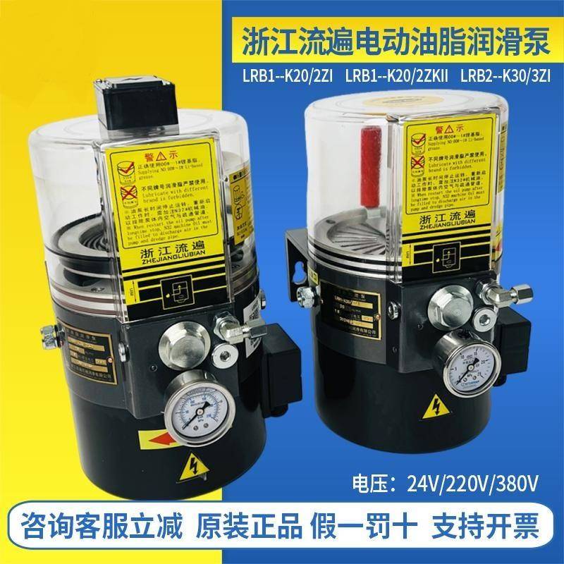 浙江流遍原装自动油脂润滑泵LRB1-K10/K20/电动油泵LRB2-K20/K30